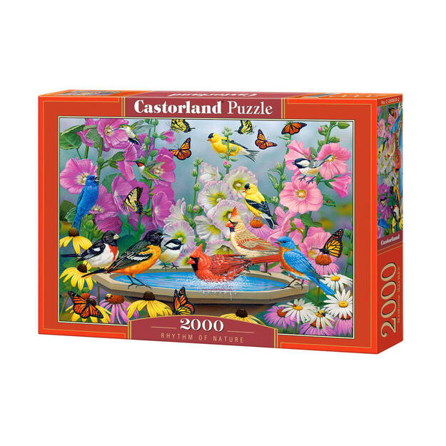 Castorland Rhytm Of Nature Puzzle, 2000 tükki