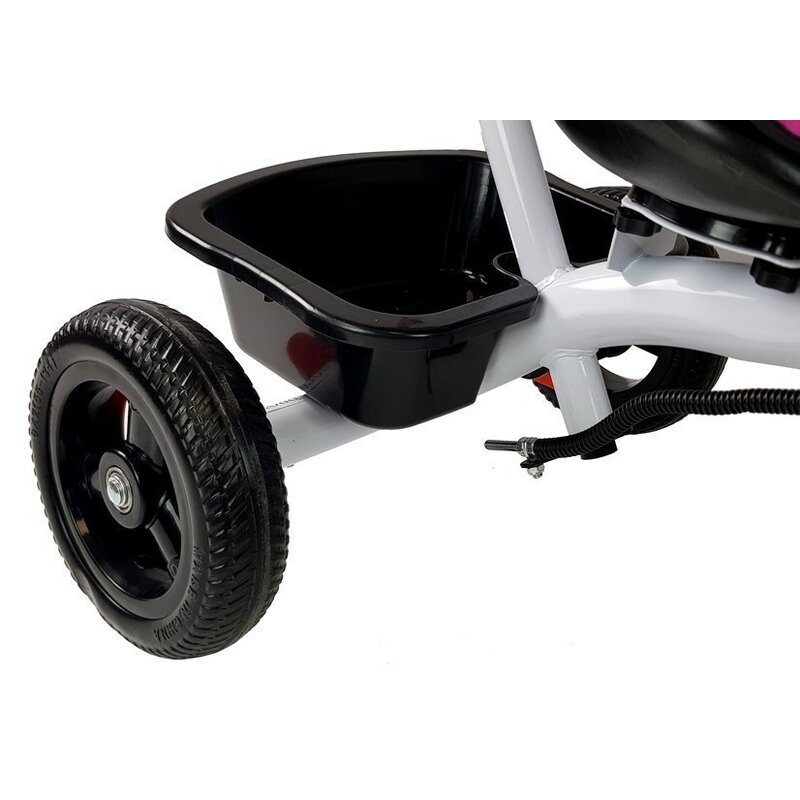 Lean Trike PRO300 kolmjalgne jalgratas koos varikatusega, hall