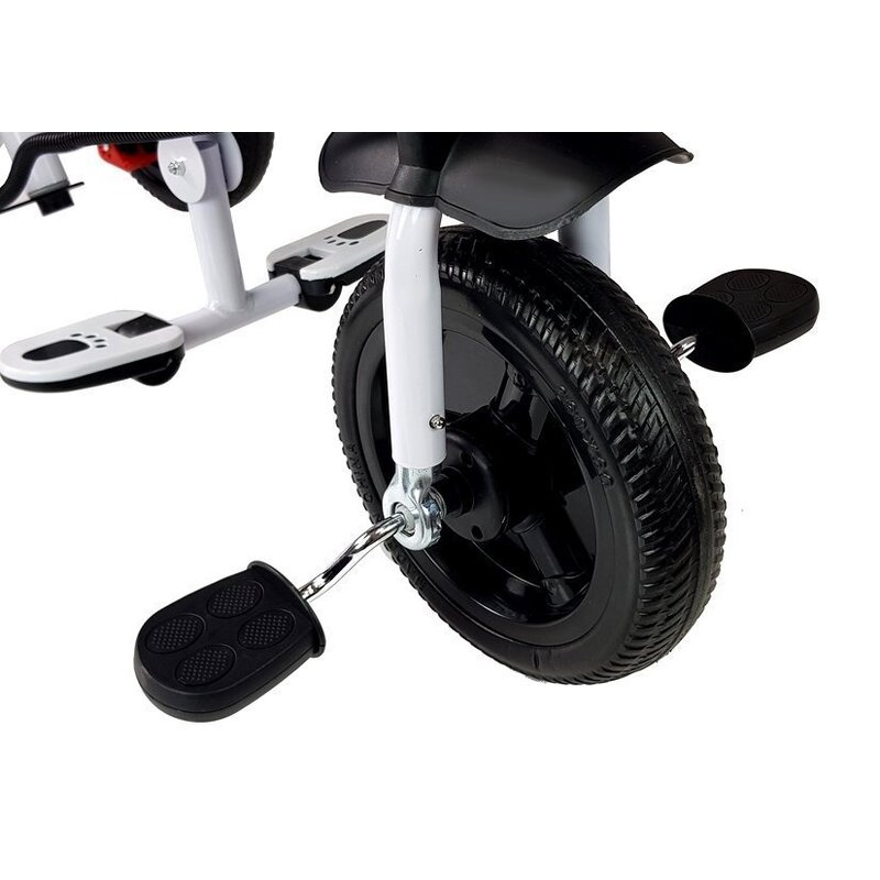 Lean Trike PRO300 kolmjalgne jalgratas koos varikatusega, hall